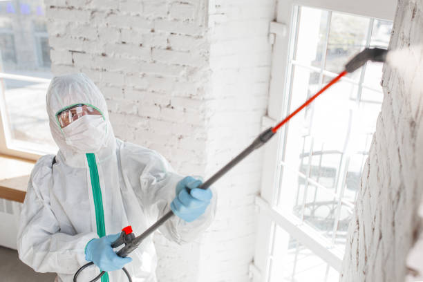 Best Mold Odor Removal Services  in Jonestown, PA