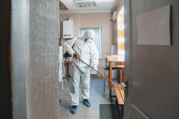 Best HVAC Mold Inspection and Cleaning  in Jonestown, PA