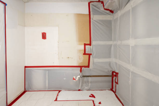 Best Commercial Mold Inspection  in Jonestown, PA