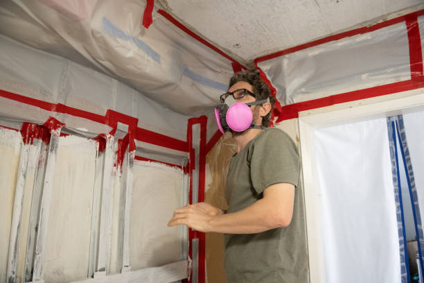 Professional Mold Removal in Jonestown, PA
