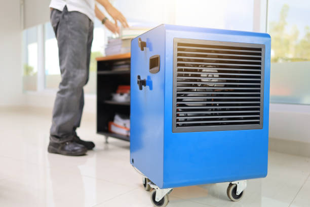 Best Attic Mold Removal  in Jonestown, PA