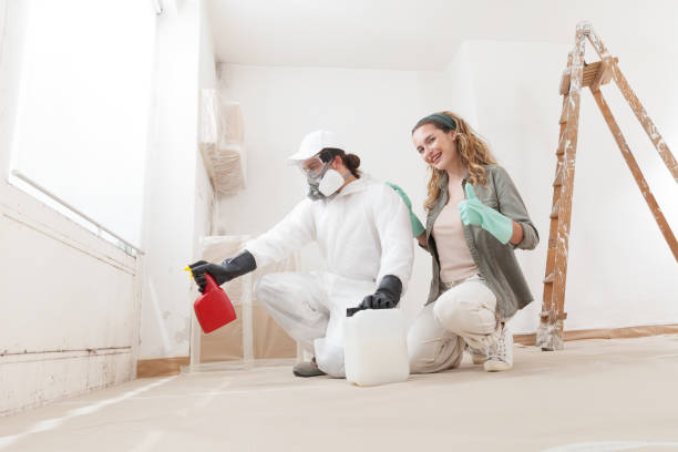 Best Forensic Mold Investigation  in Jonestown, PA